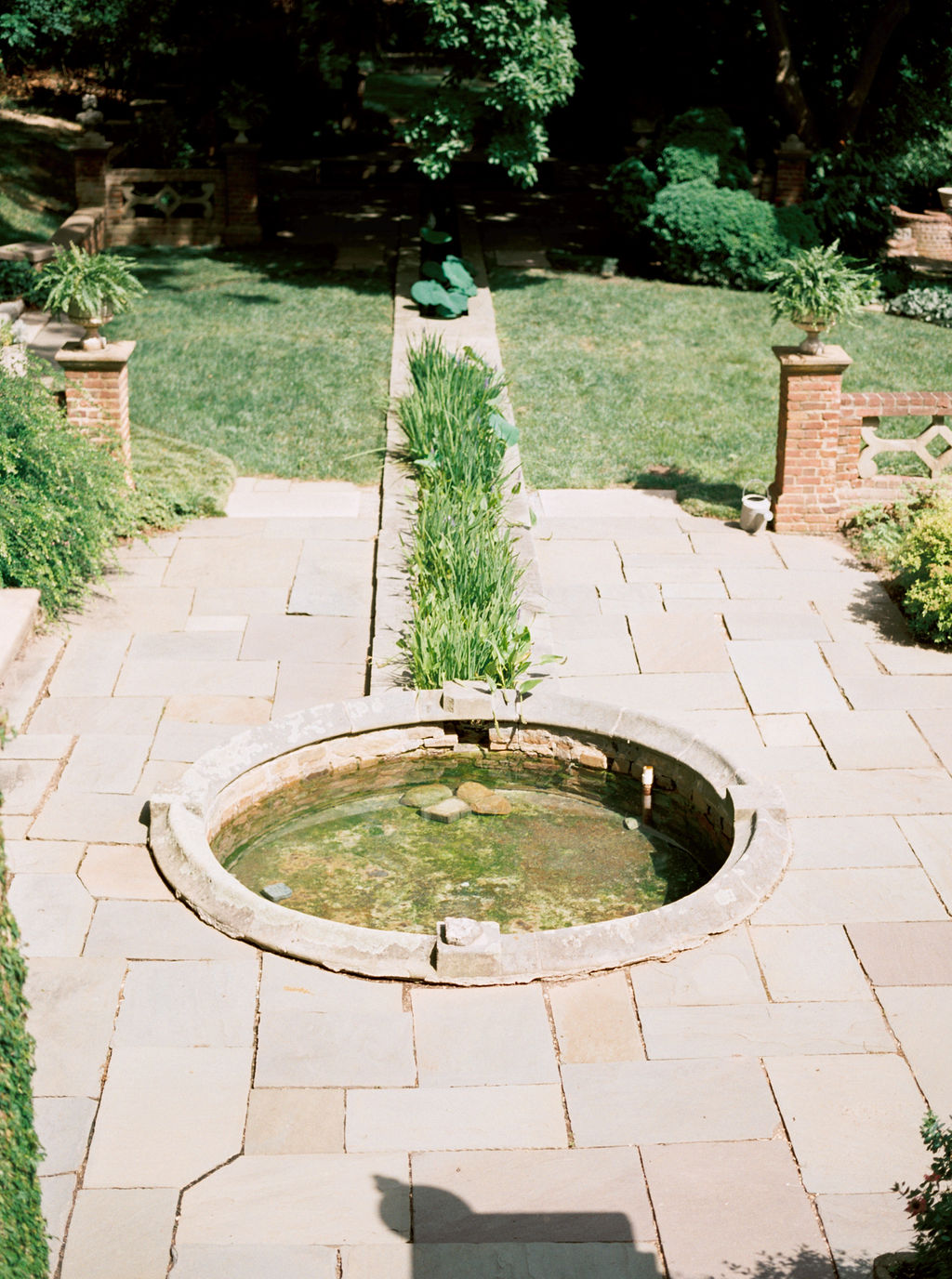 European-style Garden pool at Virginia House in Richmond Virginia