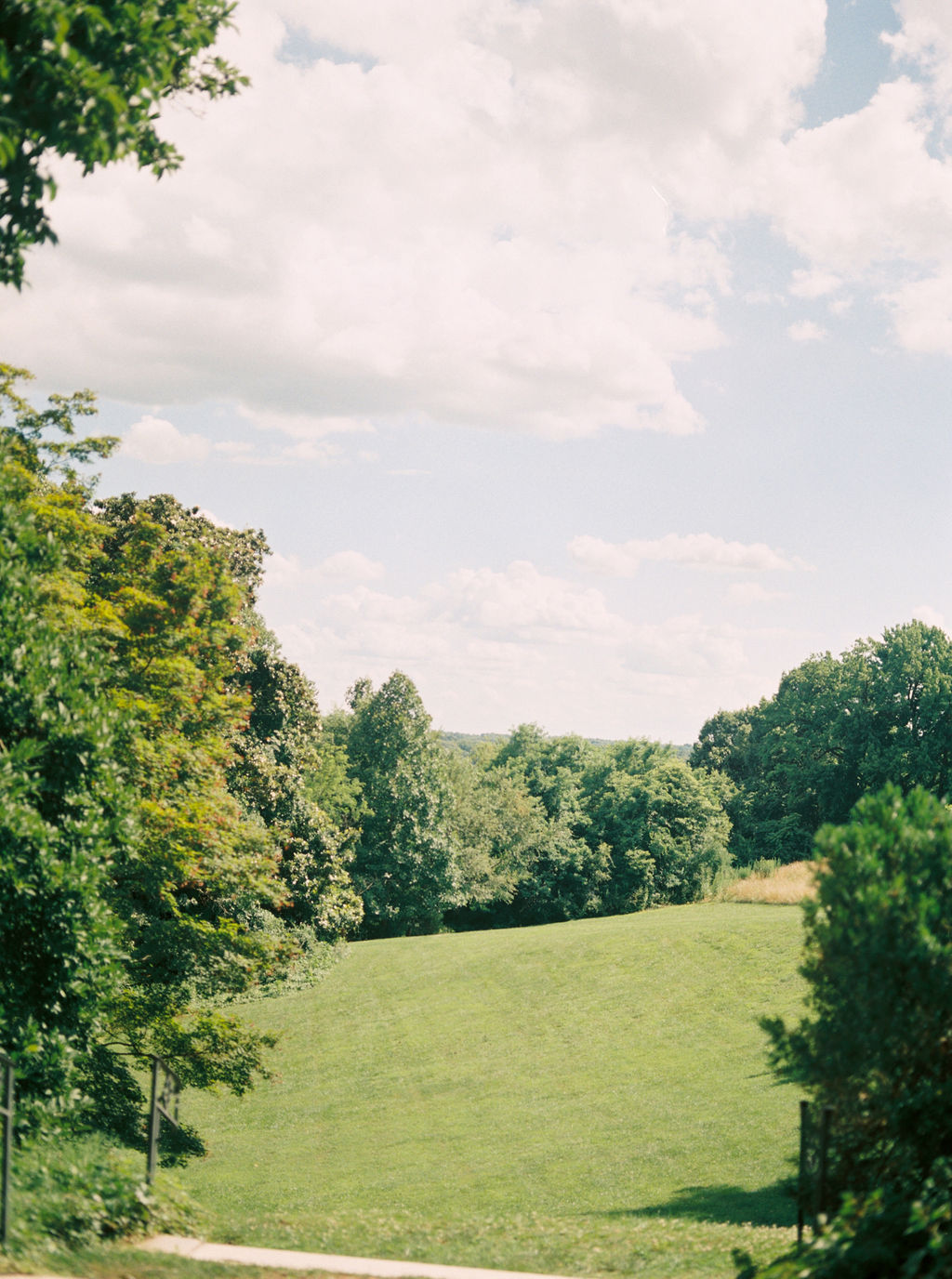 Back field behind Virginia House In Richmond Virginia